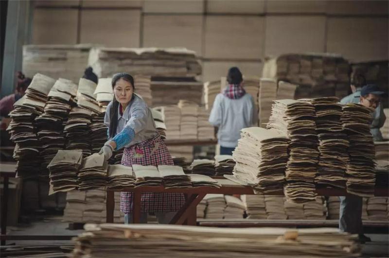 Z6人生就是博之造——Z6人生就是博22周年出格贡献品质篇