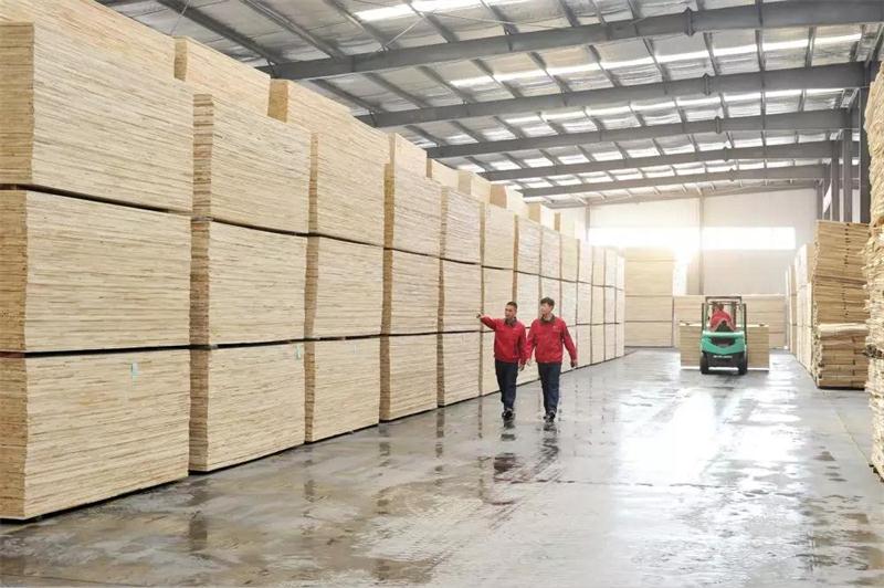 Z6人生就是博板材出产基地