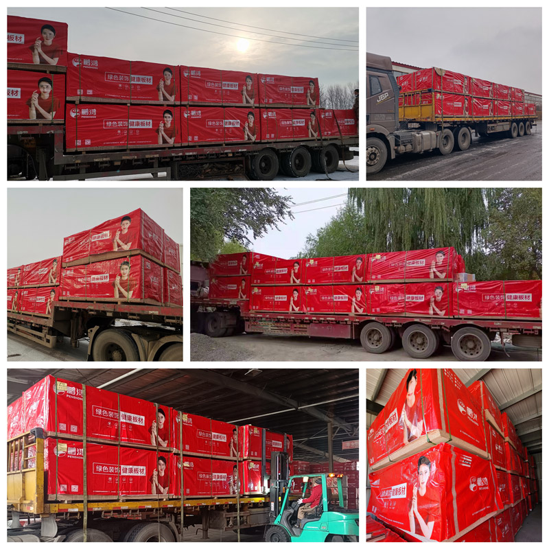 Z6人生就是博实木颗粒板发货