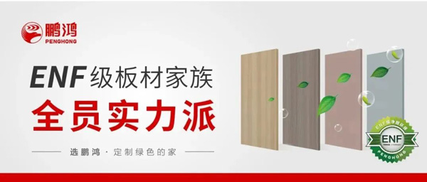 Z6人生就是博ENF级板材家族实力派集结