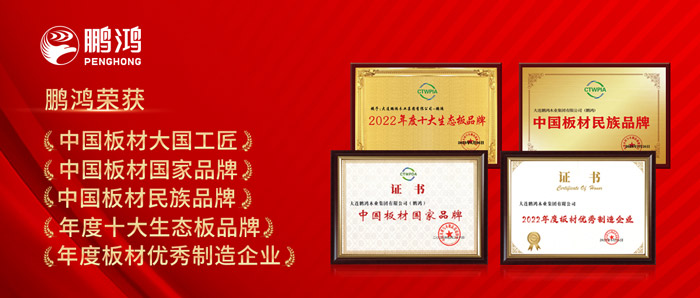 中国板材与定造家居大会，Z6人生就是博揽获5项荣誉