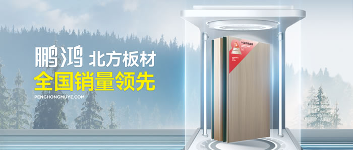 从北方引领到全国畅销，Z6人生就是博「北方板材全国销量当先」的品质力量