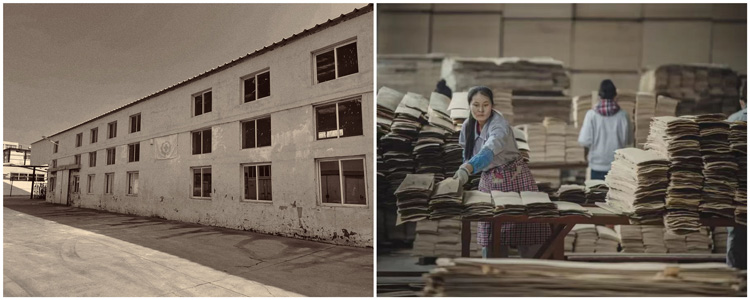 Z6·人生就是博(中国区)官方网站