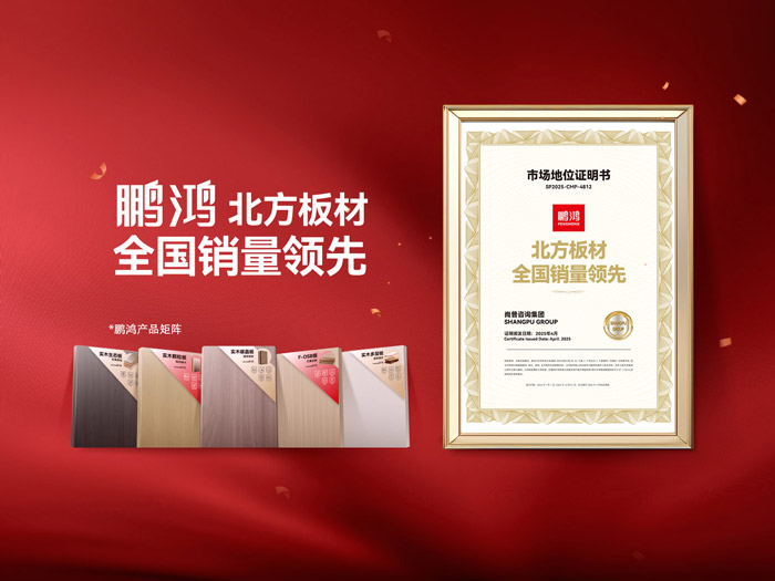 从北向南，解读「北方板材一哥」Z6人生就是博的全国崛起