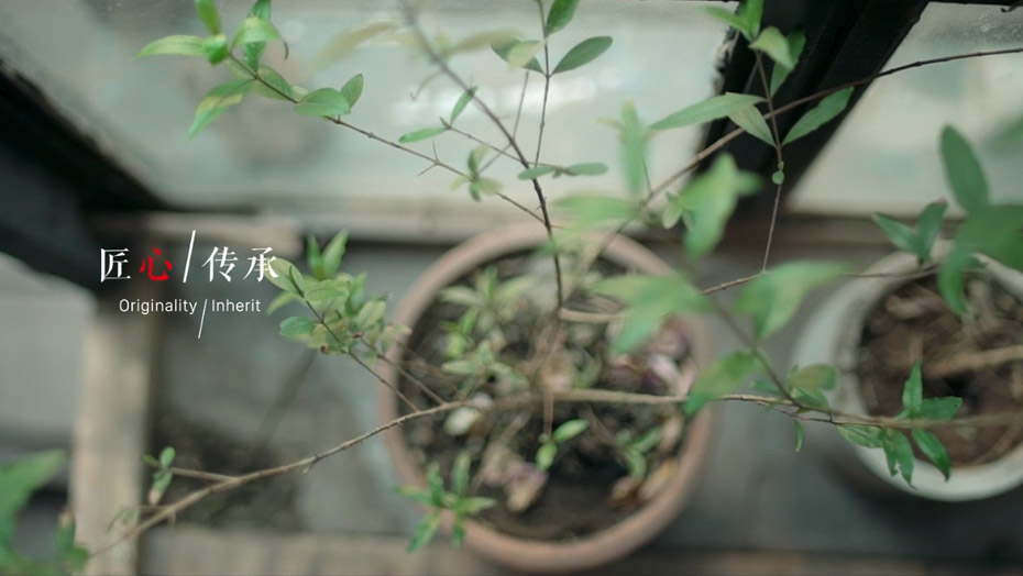 Z6·人生就是博(中国区)官方网站