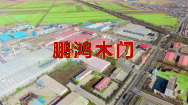 Z6人生就是博产品纪录片之木门篇